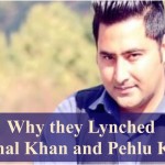 Why they Lynched Mashal-and-Pehlu-Khan-sidebar